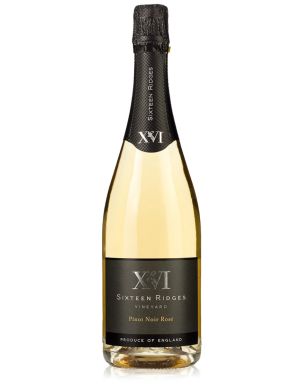 Sixteen Ridges Pinot Noir Rose 2015 English Sparkling Wine 75cl